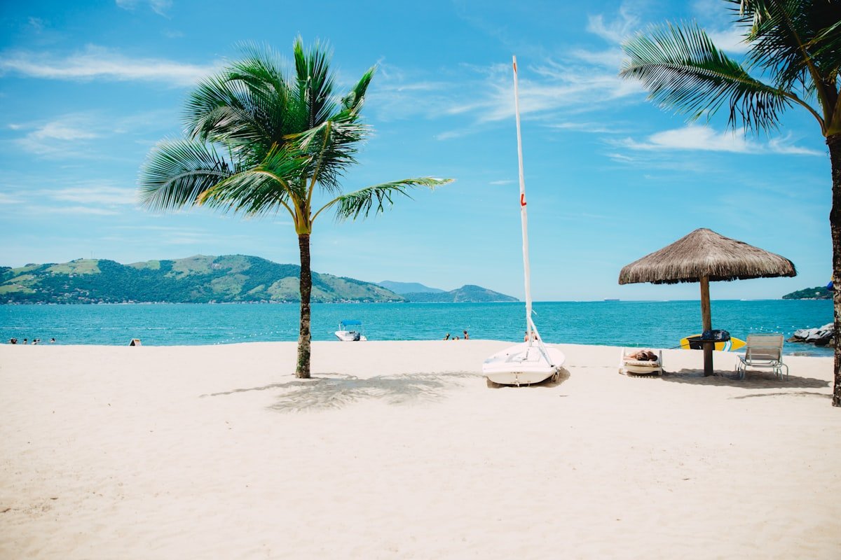 Sunny tropical beach with palm tree and lounge chairs by turquoise water
