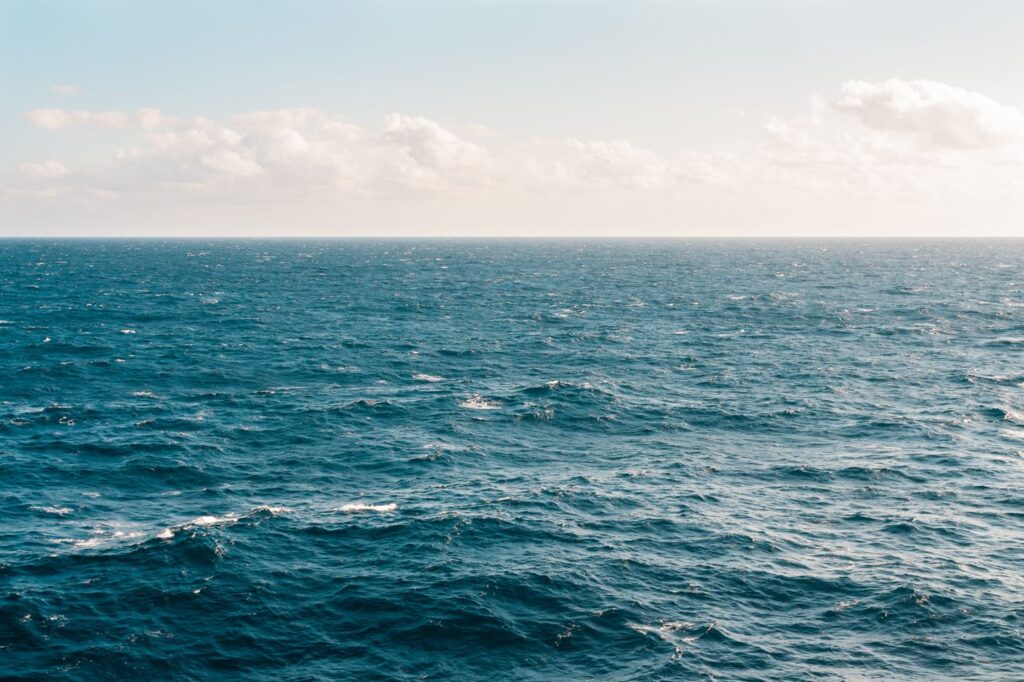 Clear blue ocean water — a playful nod to shark week period slang